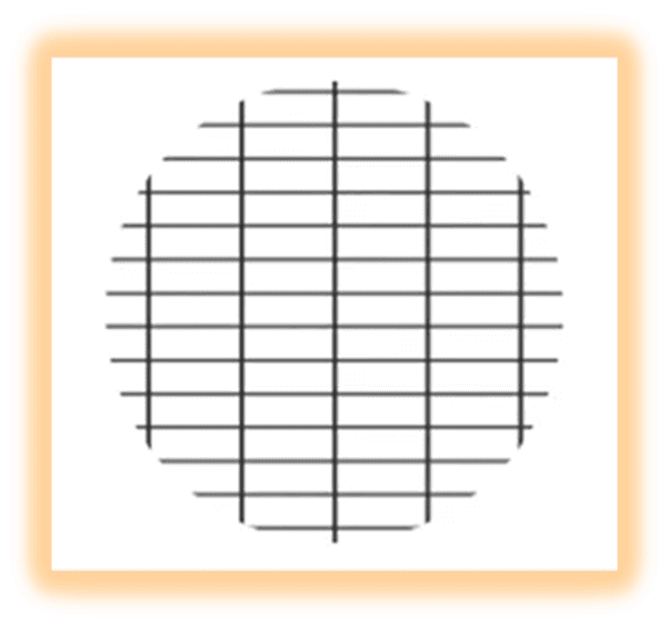 INTERMEDIATE SECURE 